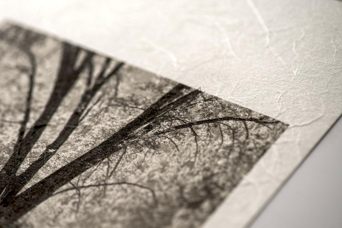 AWAGAMI Premio Unryu 165g - Laminovaný Japonský Washi ze 100% kozo vláken s organickou texturou